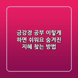 금강경 공부 이렇게 하면 쉬워요 숨겨진 지혜 찾는 방법
