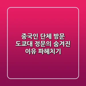 중국인 단체 방문 도쿄대 정문의 숨겨진 이유 파헤치기