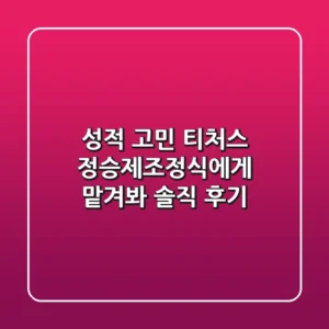 성적 고민? 티처스 정승제&조정식에게 맡겨봐! 솔직 후기