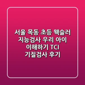 서울 목동 초등 웩슬러 지능검사: 우리 아이 이해하기, TCI 기질검사 후기