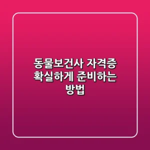 동물보건사 자격증, 확실하게 준비하는 방법