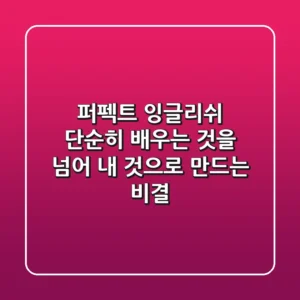 퍼펙트 잉글리쉬, 단순히 배우는 것을 넘어 내 것으로 만드는 비결