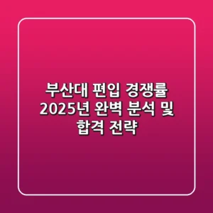 부산대 편입 경쟁률, 2025년 완벽 분석 및 합격 전략