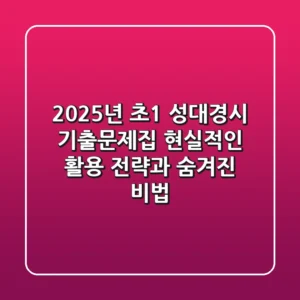 2025년 초1 성대경시 기출문제집, 현실적인 활용 전략과 숨겨진 비법