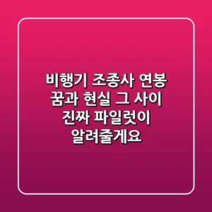 비행기 조종사 연봉, 꿈과 현실 그 사이: 진짜 파일럿이 알려줄게요!