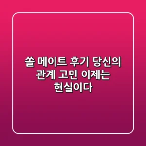 쏠 메이트 후기, 당신의 관계 고민, 이제는 '현실'이다!
