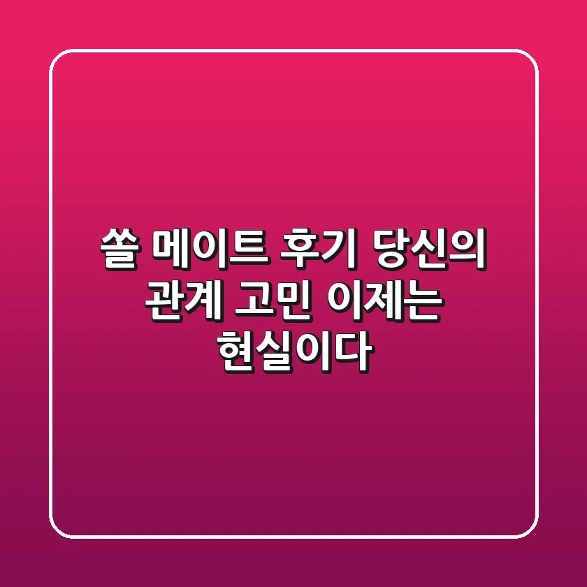 쏠 메이트 후기, 당신의 관계 고민, 이제는 '현실'이다!