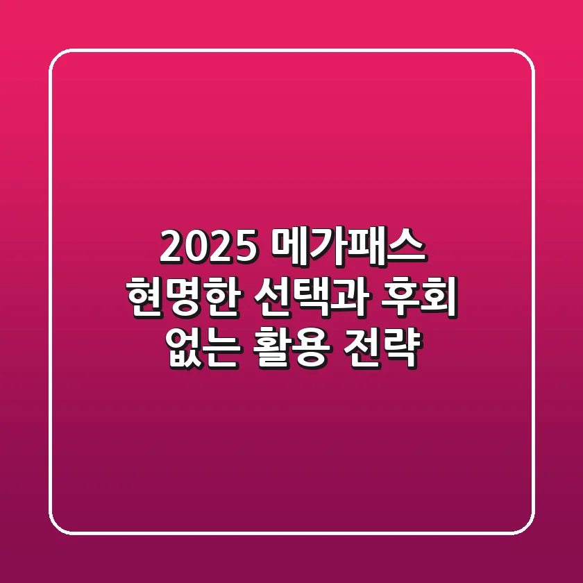 2025 메가패스, 현명한 선택과 후회 없는 활용 전략