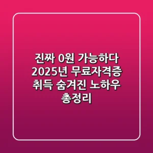 "진짜 '0원' 가능하다", 2025년 무료자격증 취득 숨겨진 노하우 총정리