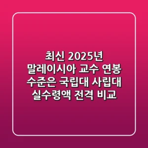 "최신 2025년 말레이시아 교수 연봉 수준은?", 국립대 사립대 실수령액 전격 비교